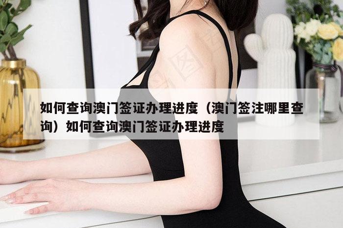 如何查询澳门签证办理进度（澳门签注哪里查询）如何查询澳门签证办理进度